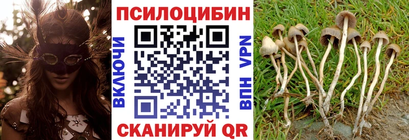 Галлюциногенные грибы ЛСД  darknet официальный сайт  Ужур  MEGA как войти 